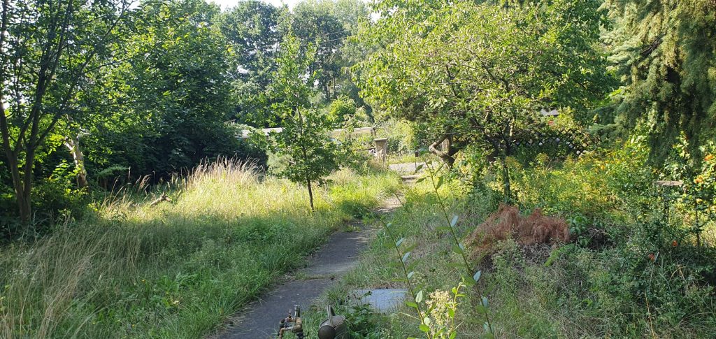 Baugrundstück in Grünau